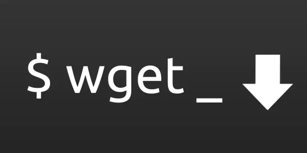 wget 如何实现下载并解压