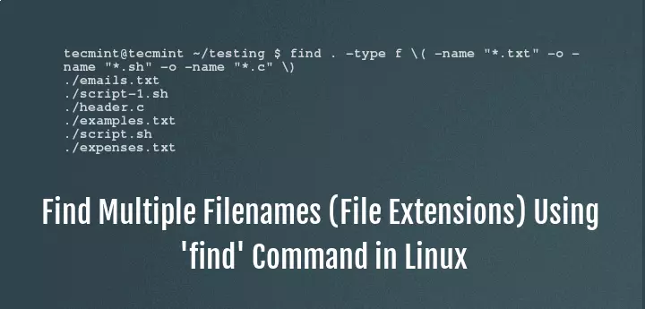 Linux find命令搜索文件