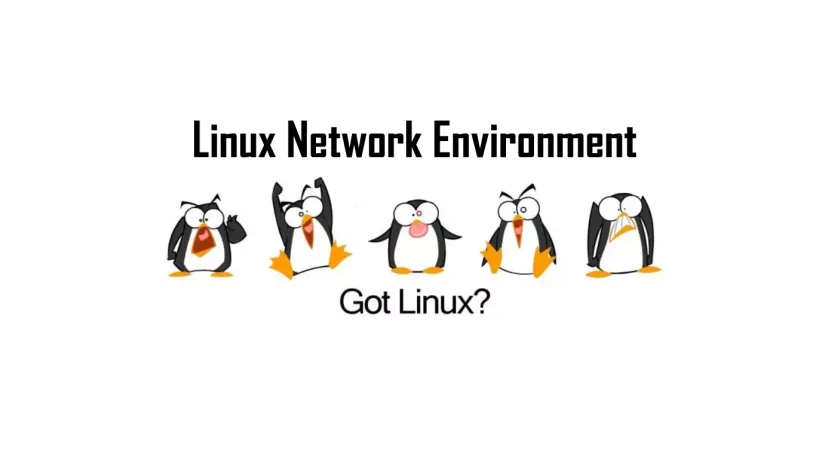 Linux常用的网络管理命令