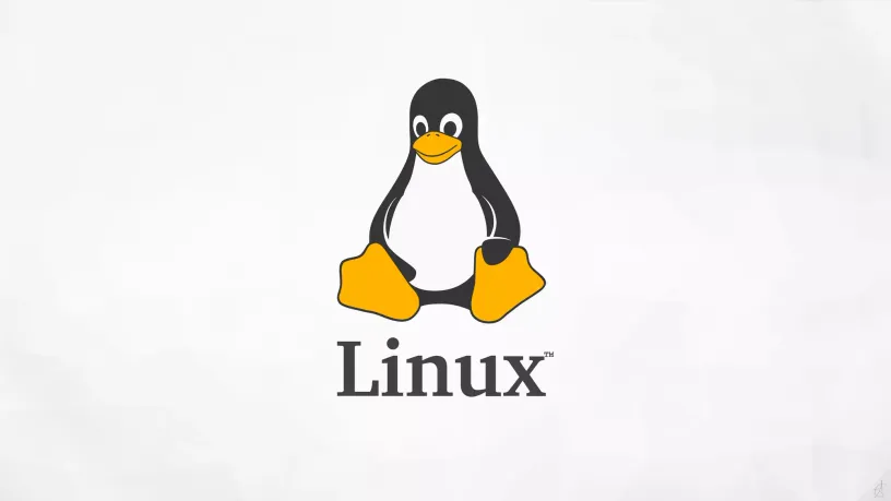 Linux符号链接符号过多的问题