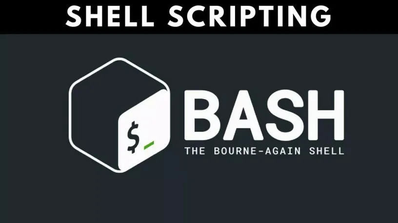 Linux Bash shell until循环
