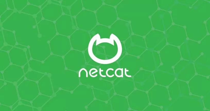 Netcat nc命令示例