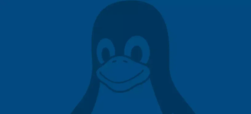 Linux获得内核“锁定”功能