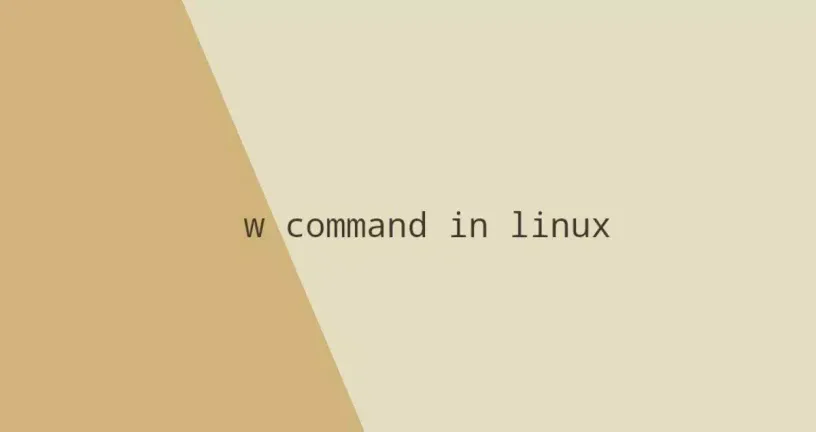 Linux w命令