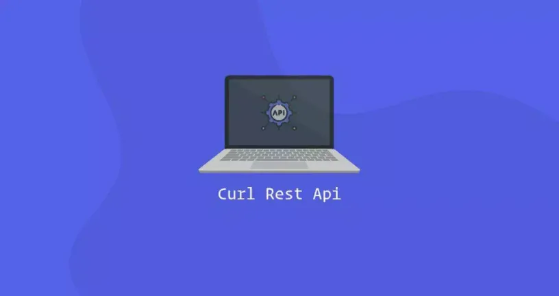使用Curl发送REST API请求