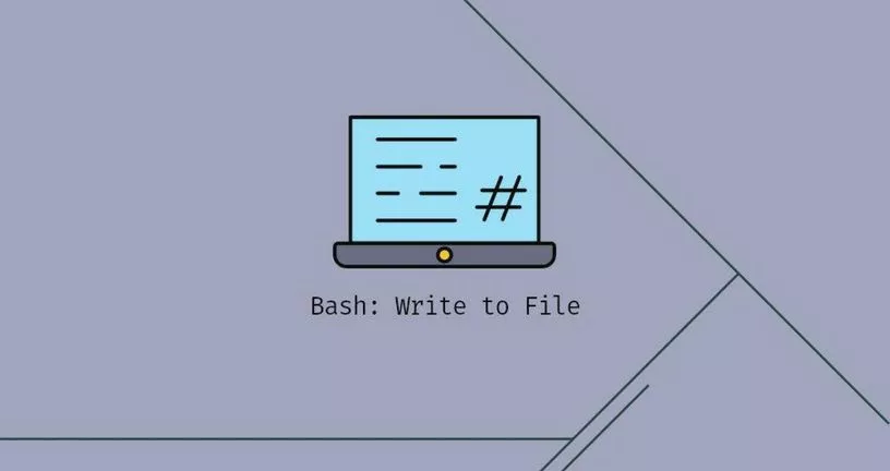 Bash:写入文件