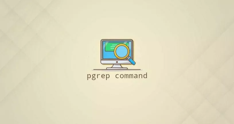 Linux Pgrep命令搜索进程