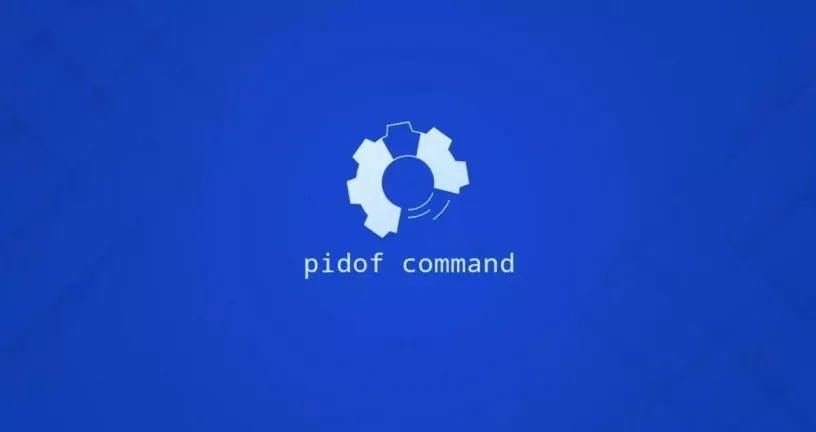 Linux中的Pidof命令