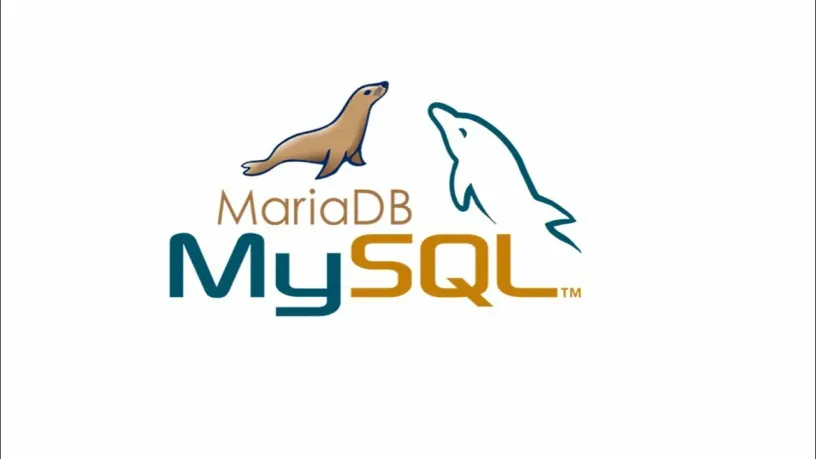 如何在MySQL中创建用户并授予权限