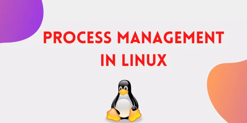 Linux 查看进程