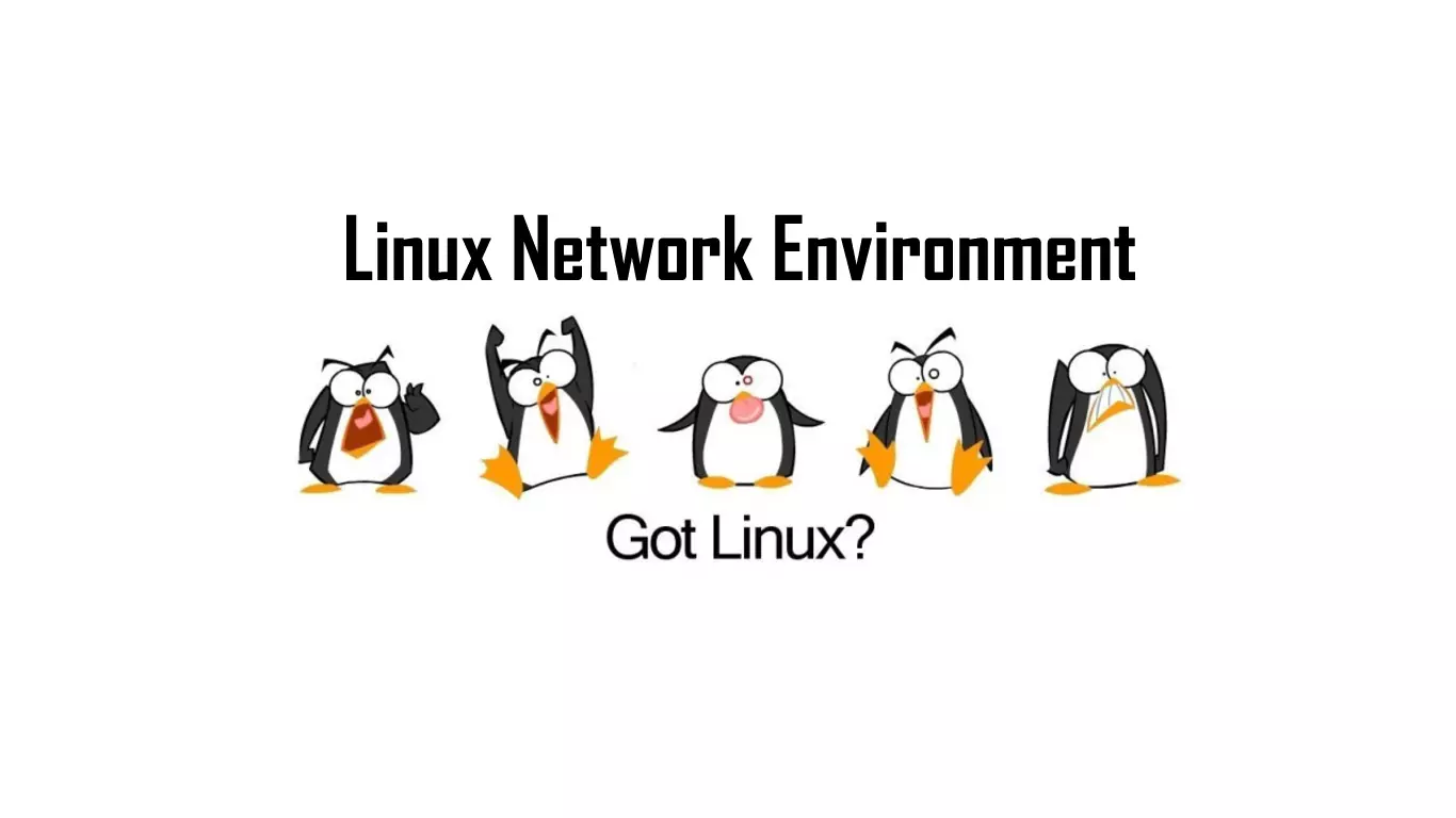 Linux常用的网络管理命令