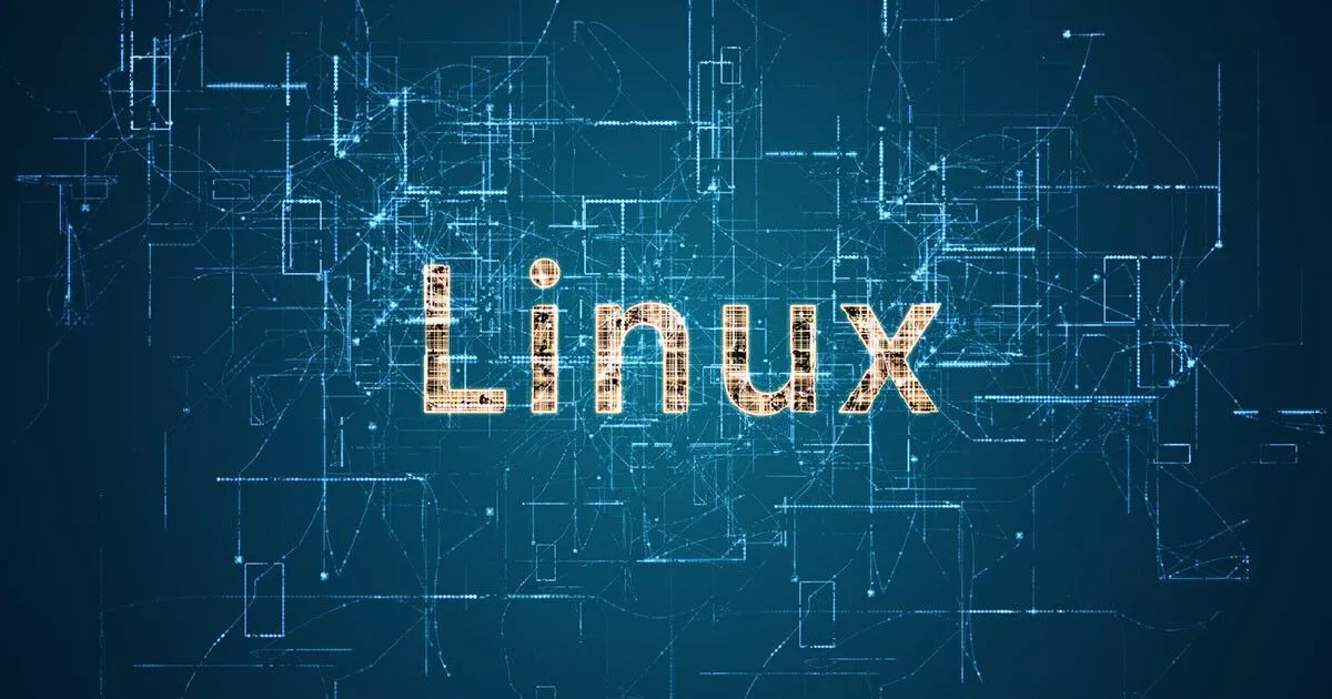 Linux type命令