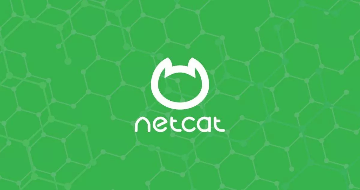 Netcat nc命令示例