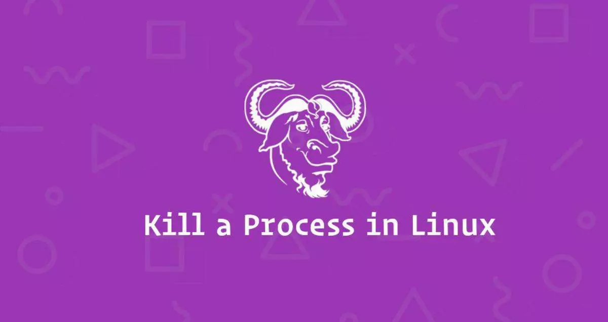 如何终止Linux进程