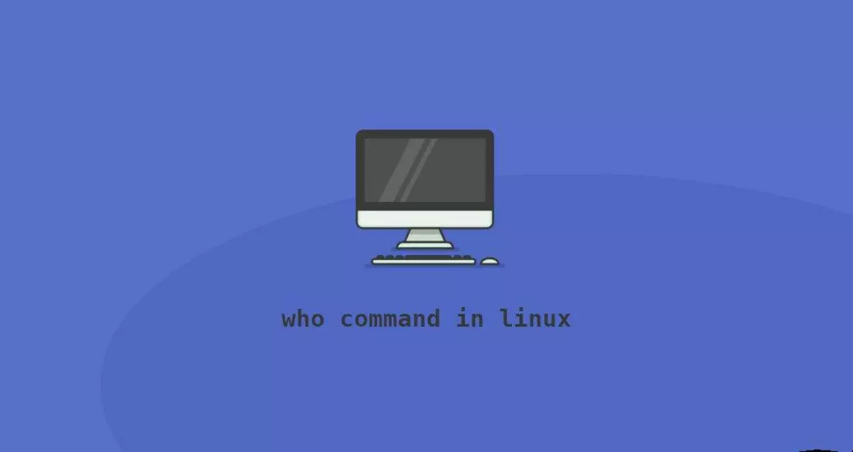 Linux who命令查看当前登录用户