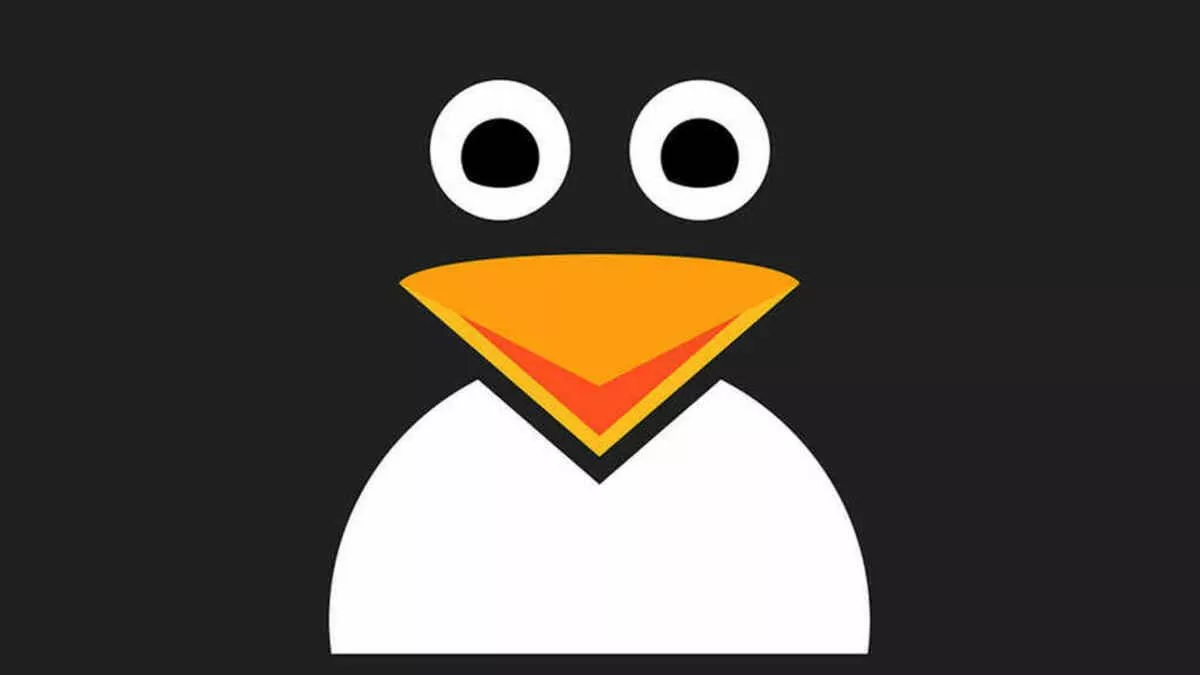如何在命令行中检查Linux内核版本的3种方法