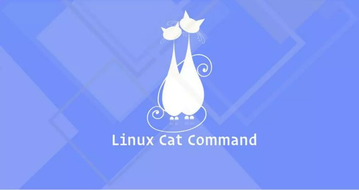 cat 命令重定向文件的内容